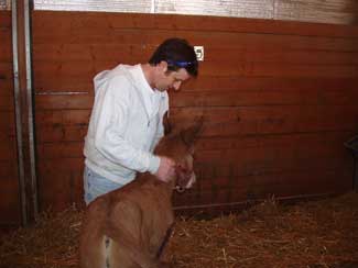 Rick & App's Baby