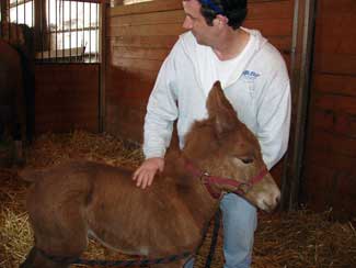 Rick & App's Baby