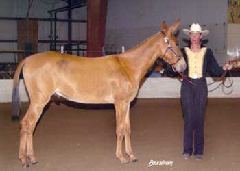 "Quincy" and Debbie Brewer