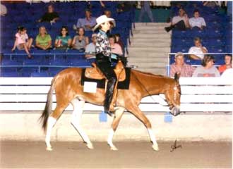 Lori Montgomery & Banjo's Boot Scootn Boogie in Junior Western Pleasure, Shelbyville, TN