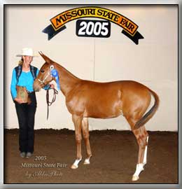 Winning Weanlings at the Missouri State Fair