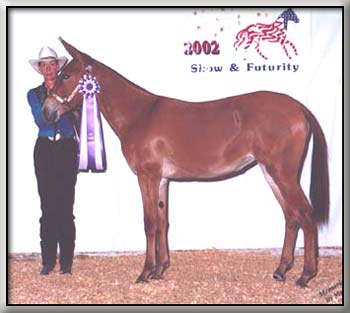 Standing Grand at the Columbia All Star Show