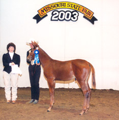 Neta Tennison, Debbie & Scooter