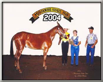Winning Yearlings at the 2004 Missouri State Fair