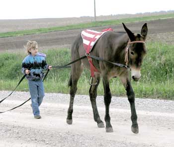 Miranda Teaching Tuffy to Drive