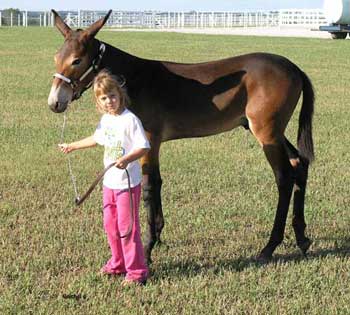 Tuffy with Miranda, his trainer.