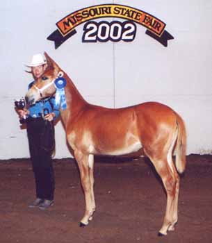 Darlene winning MO State Fair 2002