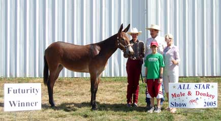 Foxie winning at the All Star Show in Columbia, MO